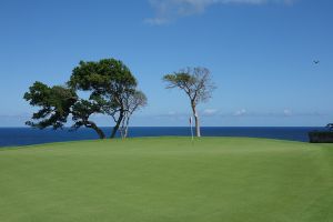 Playa Grande 9th Green